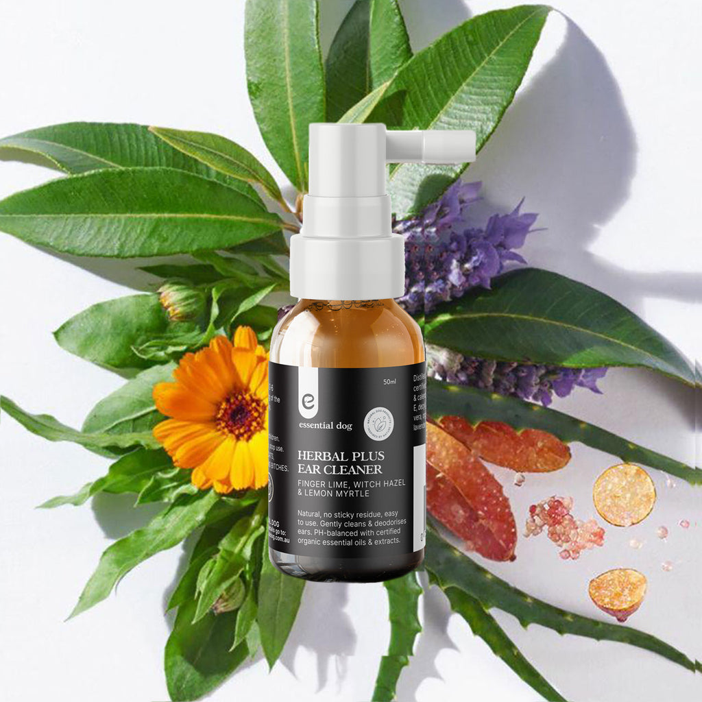 Essential Dog Herbal Plus Ear Cleaner — 50mL