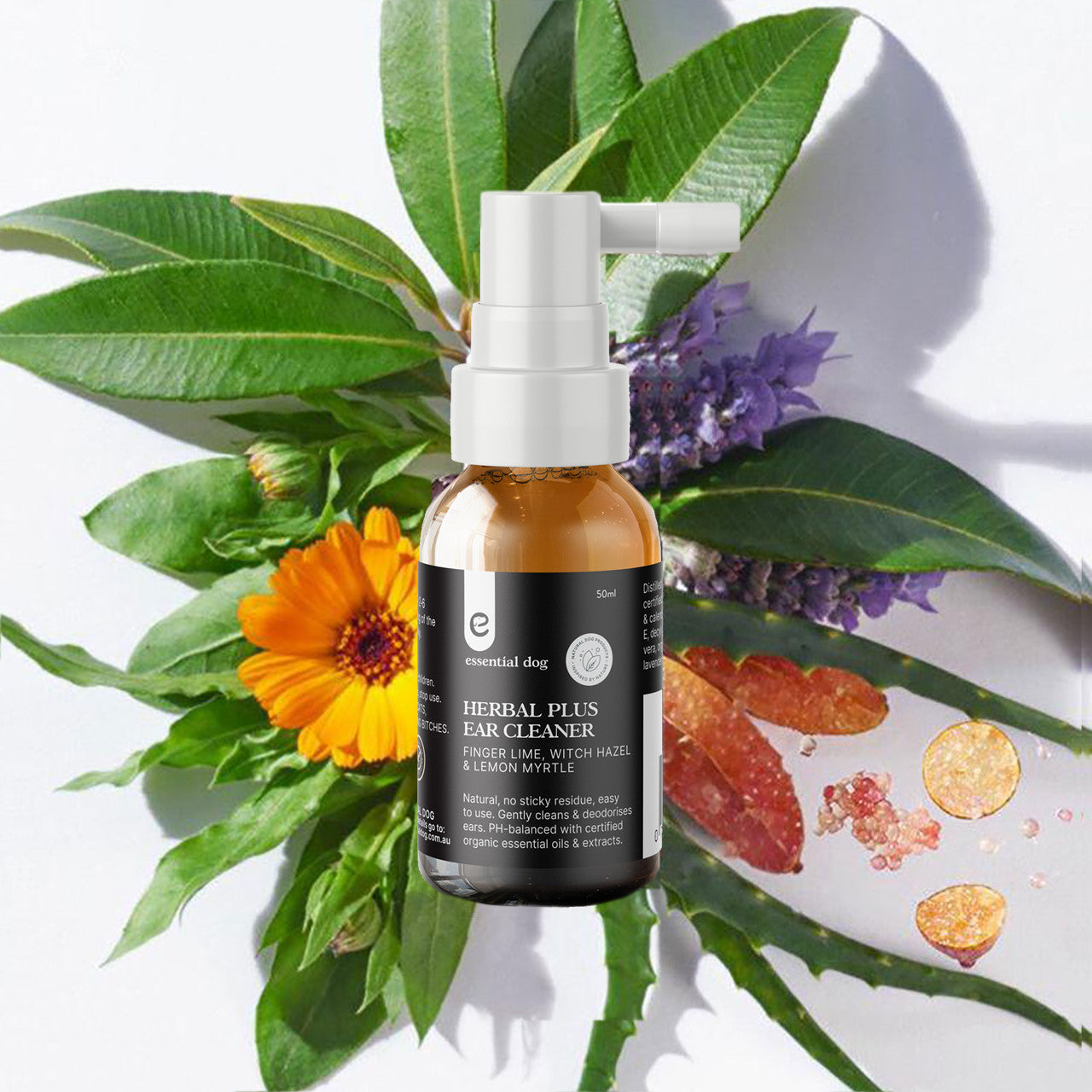 Essential Dog Herbal Plus Ear Cleaner — 50mL