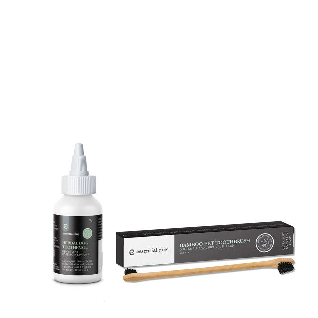 Essential Dog Bamboo Dental Kit — Toothpaste & Brush