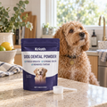 Kriath 100 g dog dental powder pouch with an apricot Cavoodle in an Australian kitchen