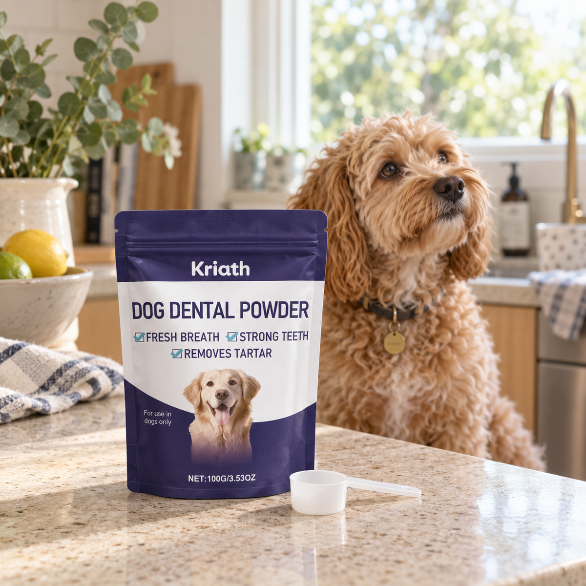 Kriath 100 g dog dental powder pouch with an apricot Cavoodle in an Australian kitchen