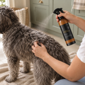 Essential Dog Sensitive Leave-In Conditioner 250mL lightly misted onto a charcoal Groodle's back during coat care