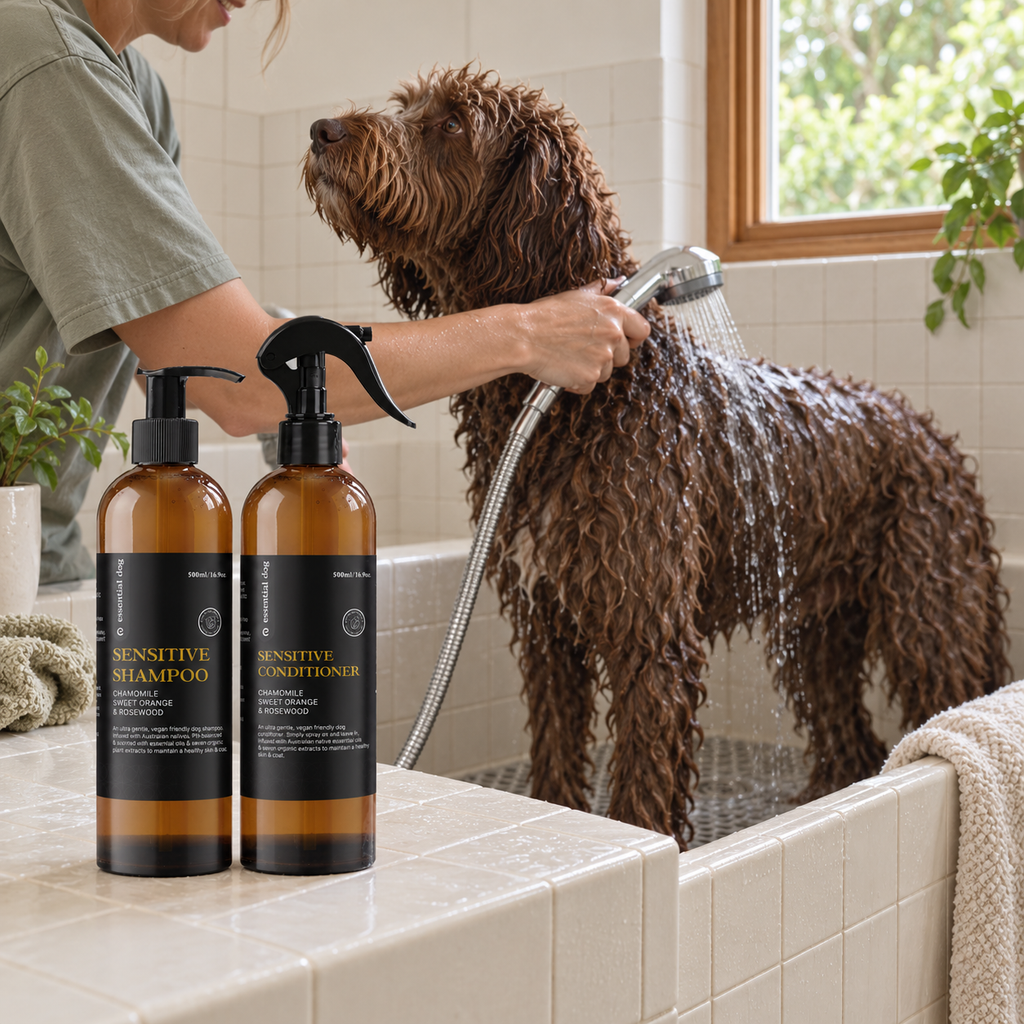 Chocolate Groodle being rinsed in a tiled dog-wash bath beside the Essential Dog Sensitive Shampoo and Conditioner 500mL duo