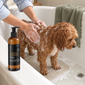 Apricot Cavoodle having its coat shampooed inside a white bathtub, with Essential Dog Sensitive Shampoo 250mL on the bath ledge