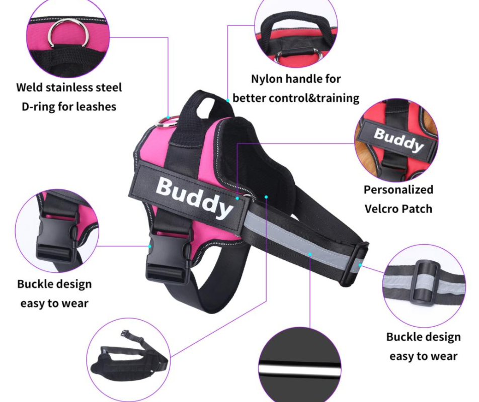 Harness feature guide showing the buckle, top handle, D-ring and removable patch
