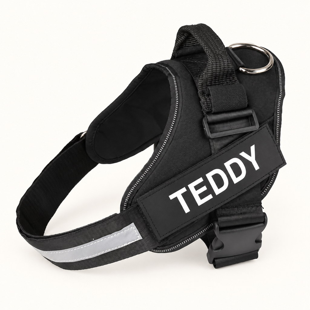 Black personalised reflective dog harness with TEDDY name patch